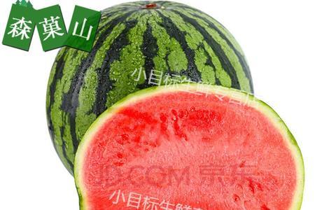 天王吊瓜和麒麟瓜哪个好