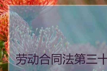 劳动合同法第39条40条41条规定