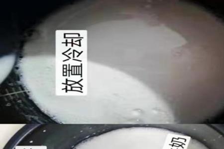 酸奶菌粉可以做泡菜吗