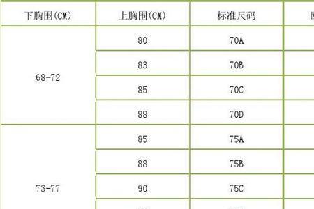 上胸围102下胸围95是多少尺寸