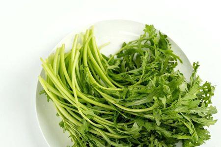 小叶茼蒿要留真叶掐尖吗