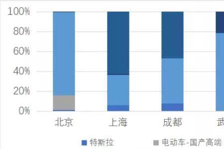 新能源汽车哪个城市发展最快