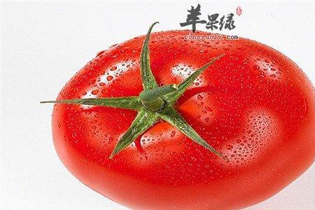 西红柿69品种哪个生吃口感好