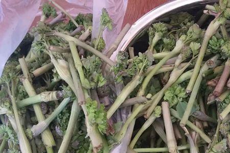 宽甸山野菜猫粑粑的做法