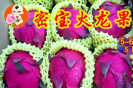 为什么有的红心火龙果特别小
