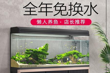 小鱼缸能放冰箱上吗