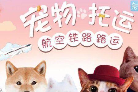 客运站可以寄狗狗吗