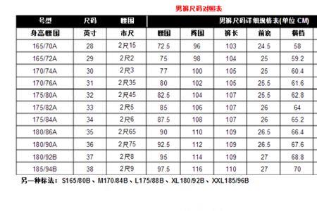 腰围多少算粗图表