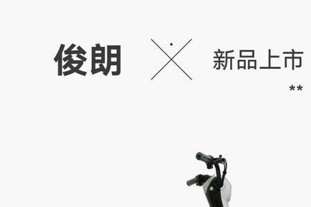 赛鸽电瓶车保险丝是多大的
