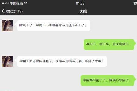 你咋恁洋气河南话啥意思