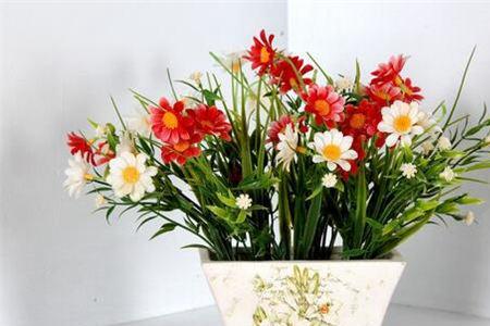 怎样知道塑料花盆是否有毒