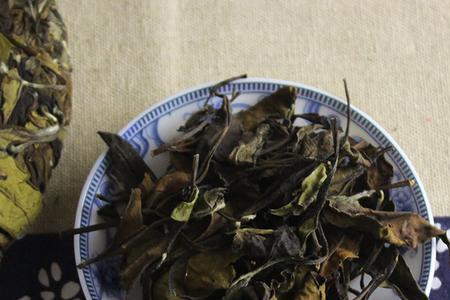 2010荒山牡丹白茶怎么样