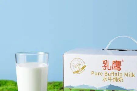 水牛奶和有机奶哪个好