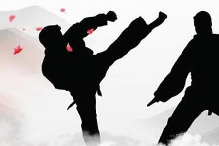 武当鹰爪拳教学