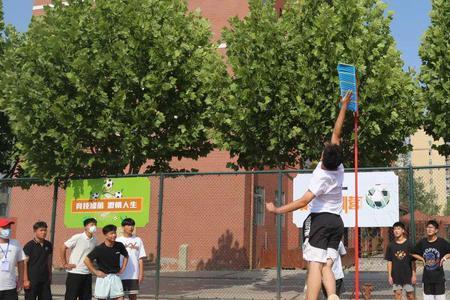 国内助跑摸高目前纪录是多少