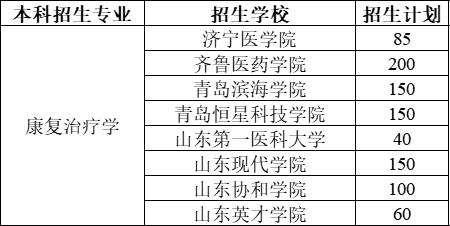 山东康复学院有哪些专业