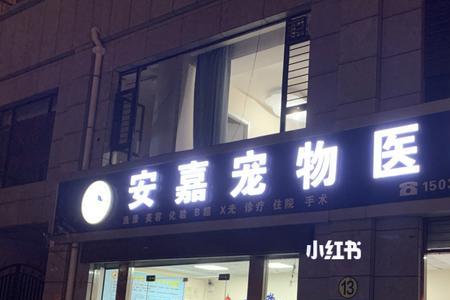 盐城哪儿有正规点的宠物医院