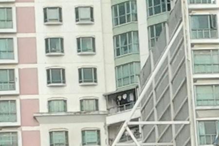 肇庆大润发几点开门