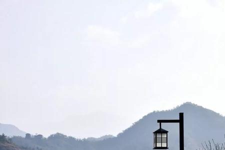 仙都龙涓高速规划