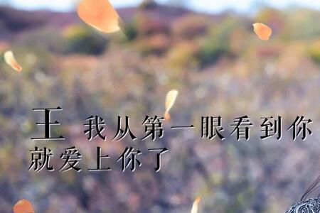 彩云大漠幻城需要门票吗