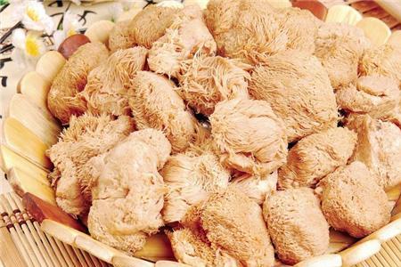 猴头菇粉为什么那么苦