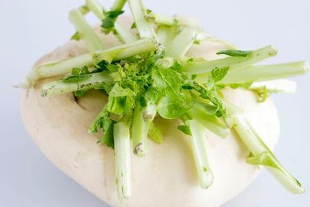 有一种蔬菜胡子学名叫什么