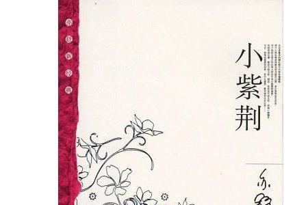 春之梦幻是亦舒写的吗
