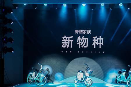 青桔之町是什么品牌