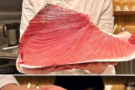 炖冻金枪鱼肉最好的做法
