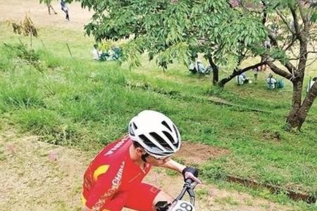 喜德盛和瑞豹公路车哪个比较好
