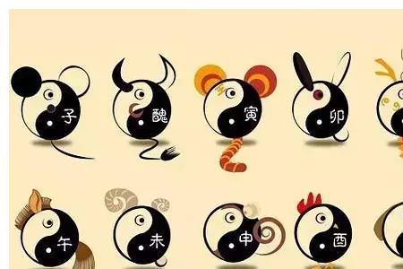 容易代表什么生肖