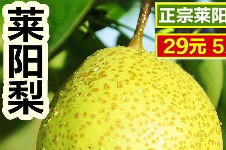 河北十大特产水果