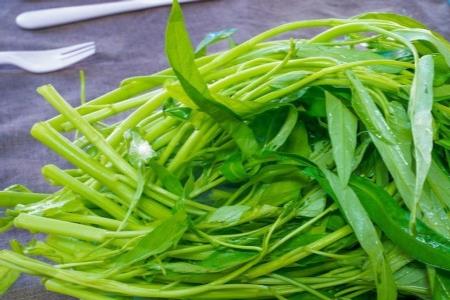 广东青菜有哪些