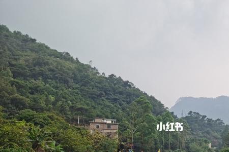 肇庆紫云谷收船时间