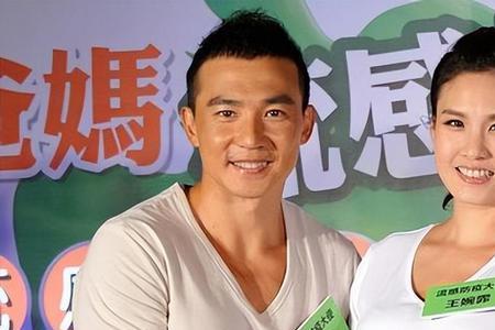 邹兆龙和刘畊宏相似