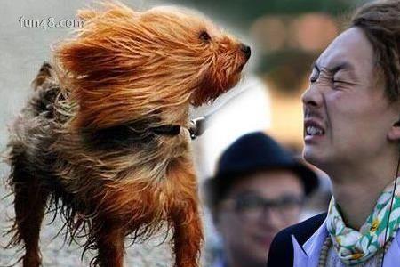 不拿什么意思