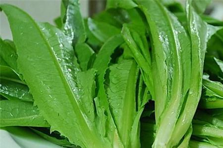 菜发苦是什么原因