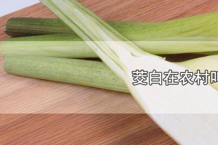 怎么永久清除茭白根