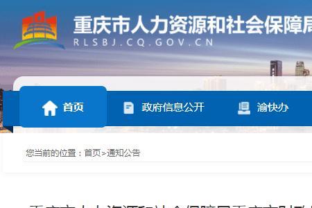 重庆城乡居民保险缴了怎么查询