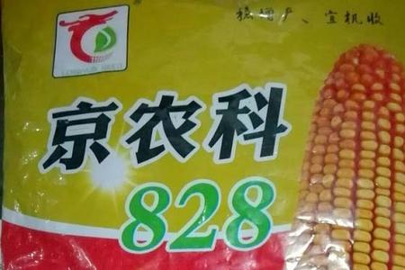 冠城009玉米品种好不好