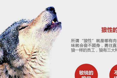 怎样理解狼性