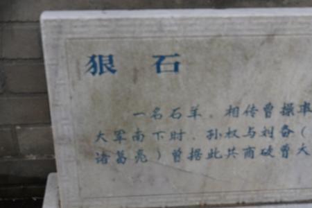 东贺神州什么意思