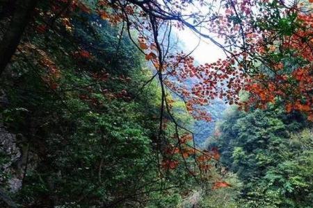永川周边避暑自驾游一天