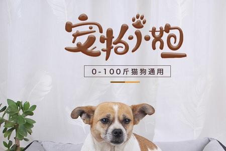 母比熊为何骑跨垫子