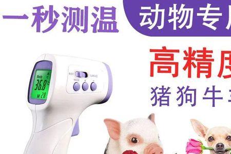人的红外体温可以测猫吗