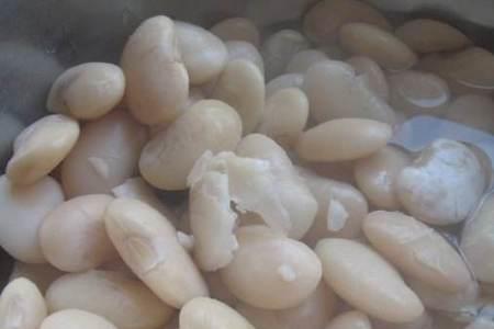 各种豆可以一起煮吗