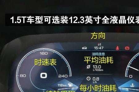 哈弗仪表两个ss一个斜杠什么标志
