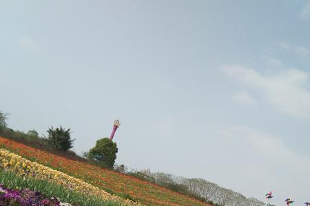 蔚然花海可以携带宠物吗
