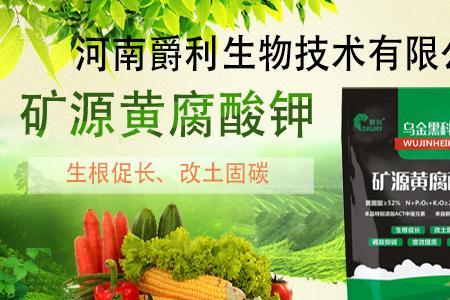 固钾是什么