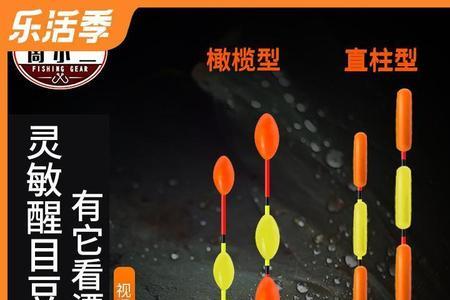 自制豆漂
